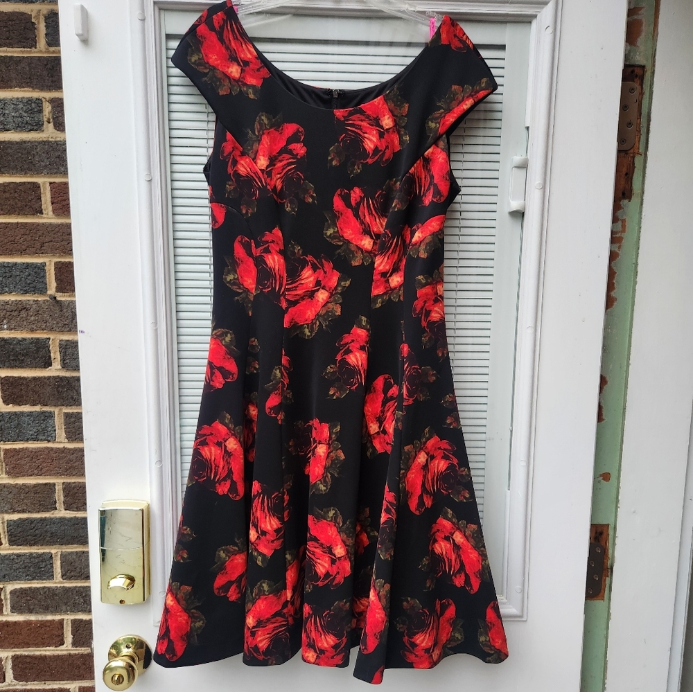 Betsey Johnson Floral Fit and Flare Dress